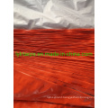 Cheap Price with Top Quality Orange Silver Tarpaulin Shelter